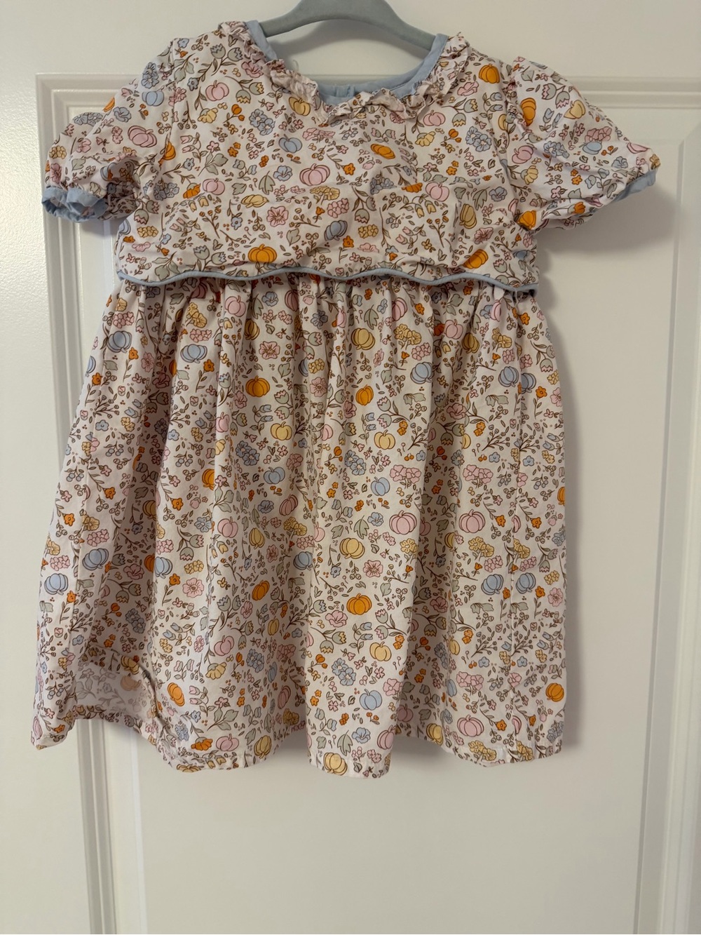 Girls' Light Pink Pumpkin & Floral Cotton Dress